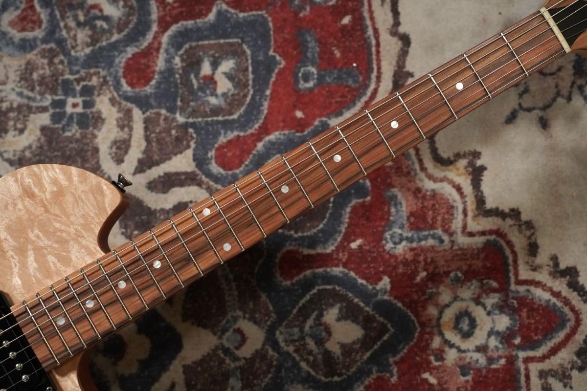 Amazon | dragonfly Maroon Custom 650 Chamber/Maple セミアコギター